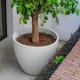 Plantenbak LIV stonecore 70x60 cm