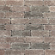 Tumbled Bricks 21x7x8 cm Rood/Bruin