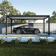 Orion carport 300x530 cm Antraciet