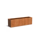Plantenbak Carrez met bodem cortenstaal 200x50x60 cm