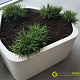 Plantenbak Shape polyester 130x126x60 cm
