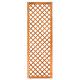 Trellis diagonaal met lijst 60x180 cm onbehandeld geschaafd hardhout