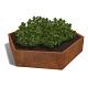 Cortenstaal zeshoekige plantenbak Denver 100, 199,3x173,2x60 cm