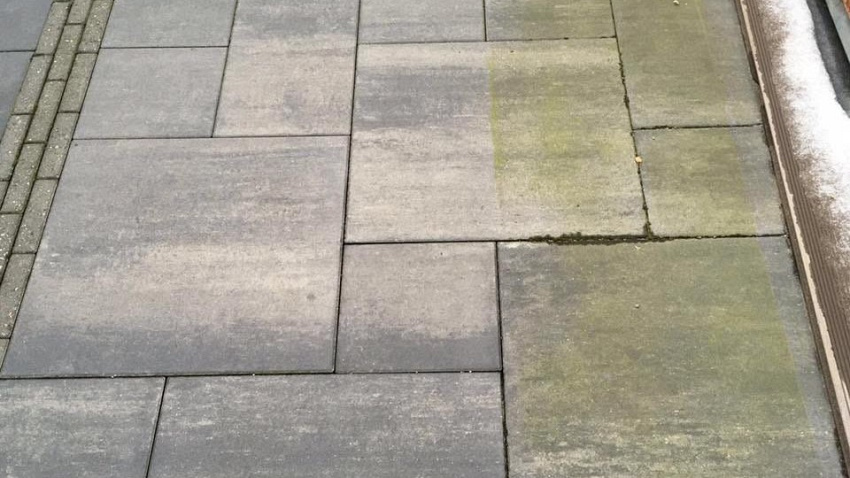 ws green clean 1l algen en mosverwijderaar