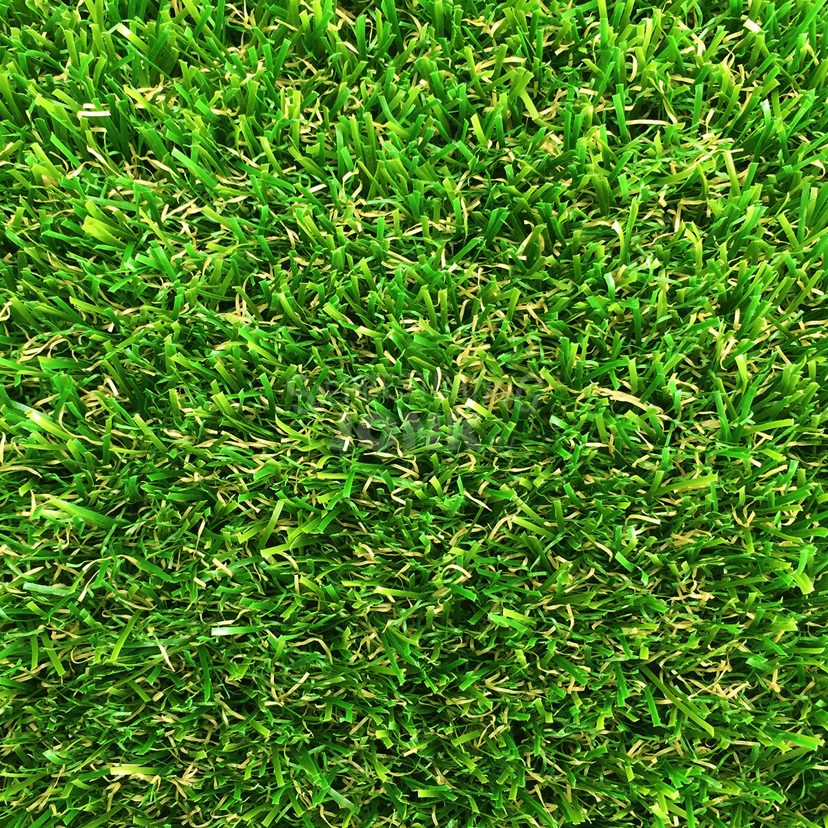  Scarifying Grass  thumbnail